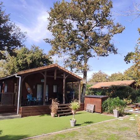 Chalet Prestige Au Coeur Du Bassin D'Arcachon ラ・テスト・ド・ビュシュ エクステリア 写真