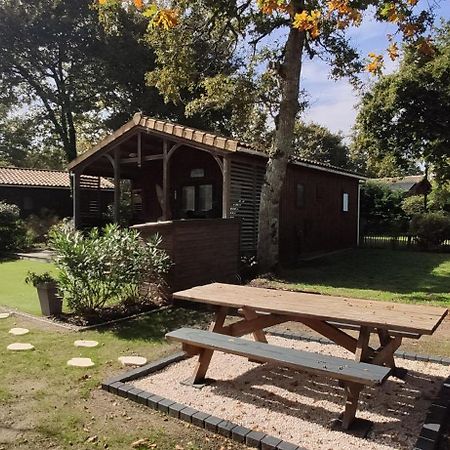 Chalet Prestige Au Coeur Du Bassin D'Arcachon ラ・テスト・ド・ビュシュ エクステリア 写真